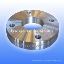 OEM Stainless Steel Forging Flange